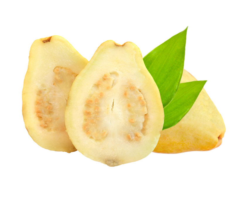 نهال گواوا گلابی